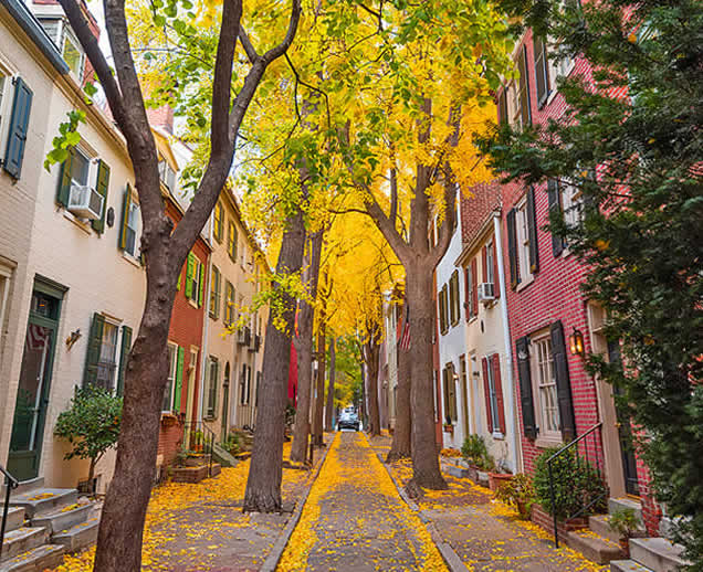 City Street in Fall